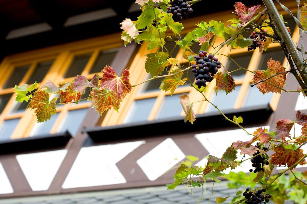 Landgasthof Rebstock Sankt Goar Exterior photo